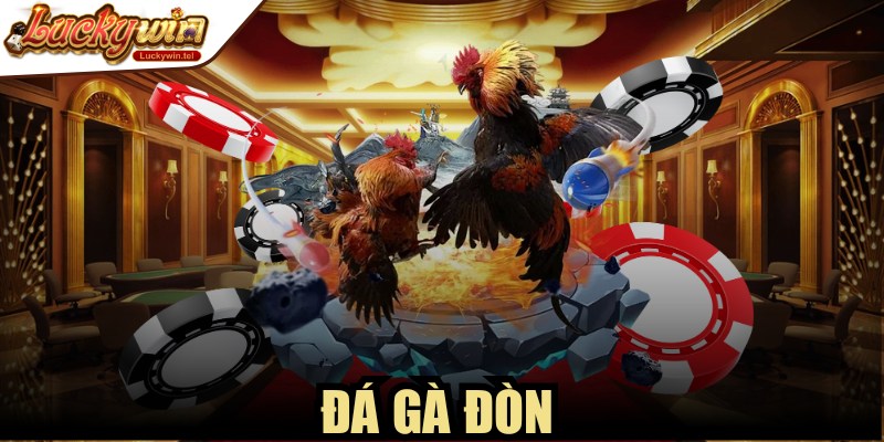 Đá Gà Đòn